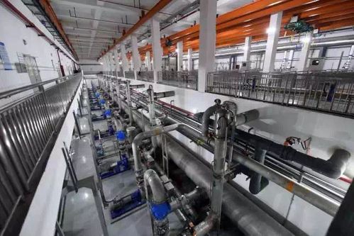 余杭再添生態(tài)新地標 全省首個大型濕地園林公園盛裝開園